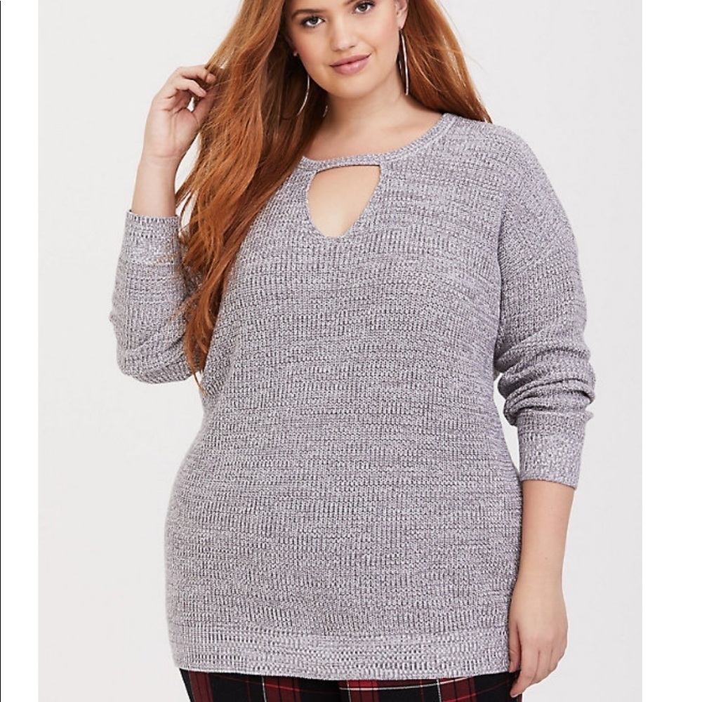 Torrid Sweater